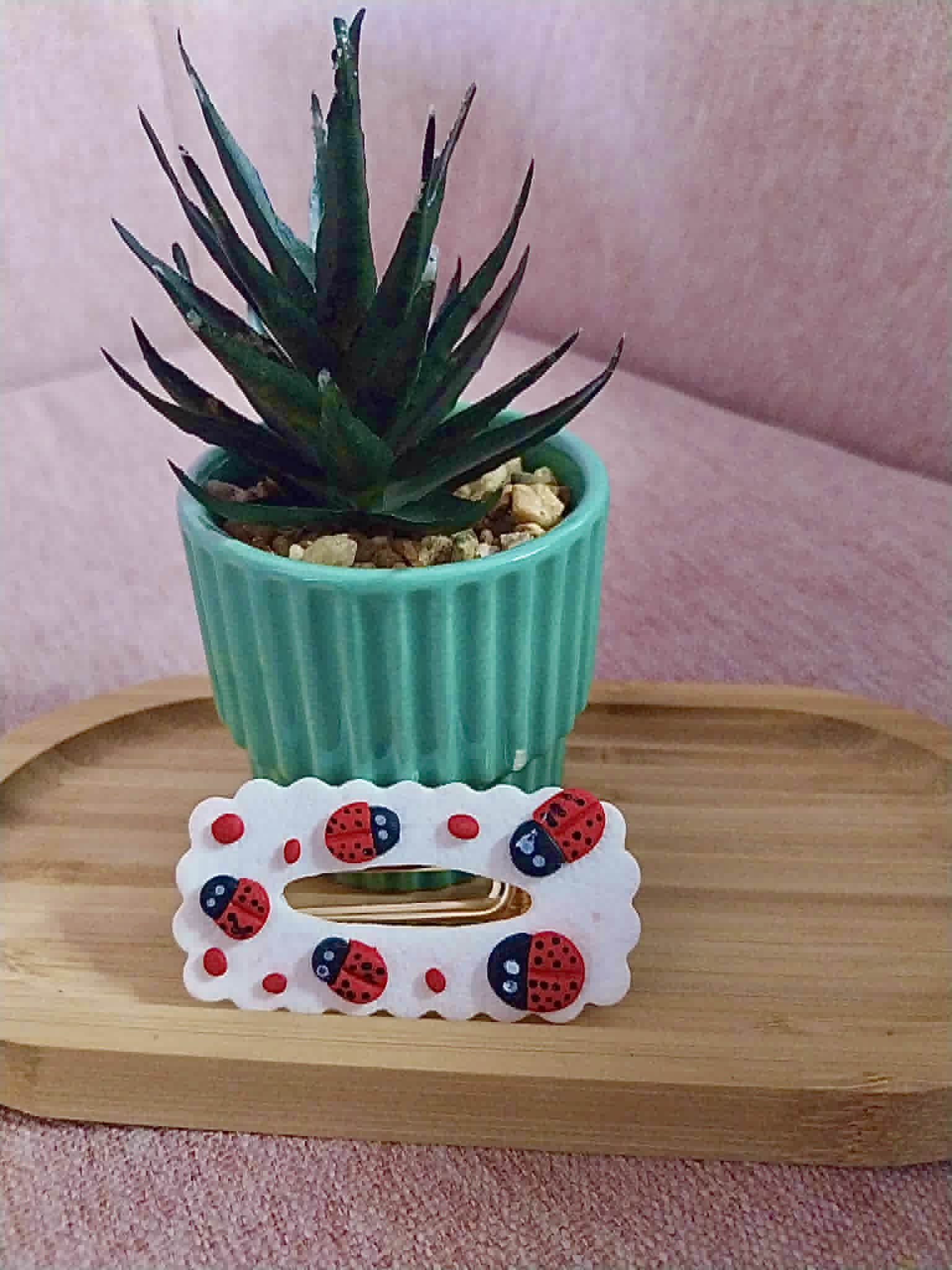 Barette coccinelle